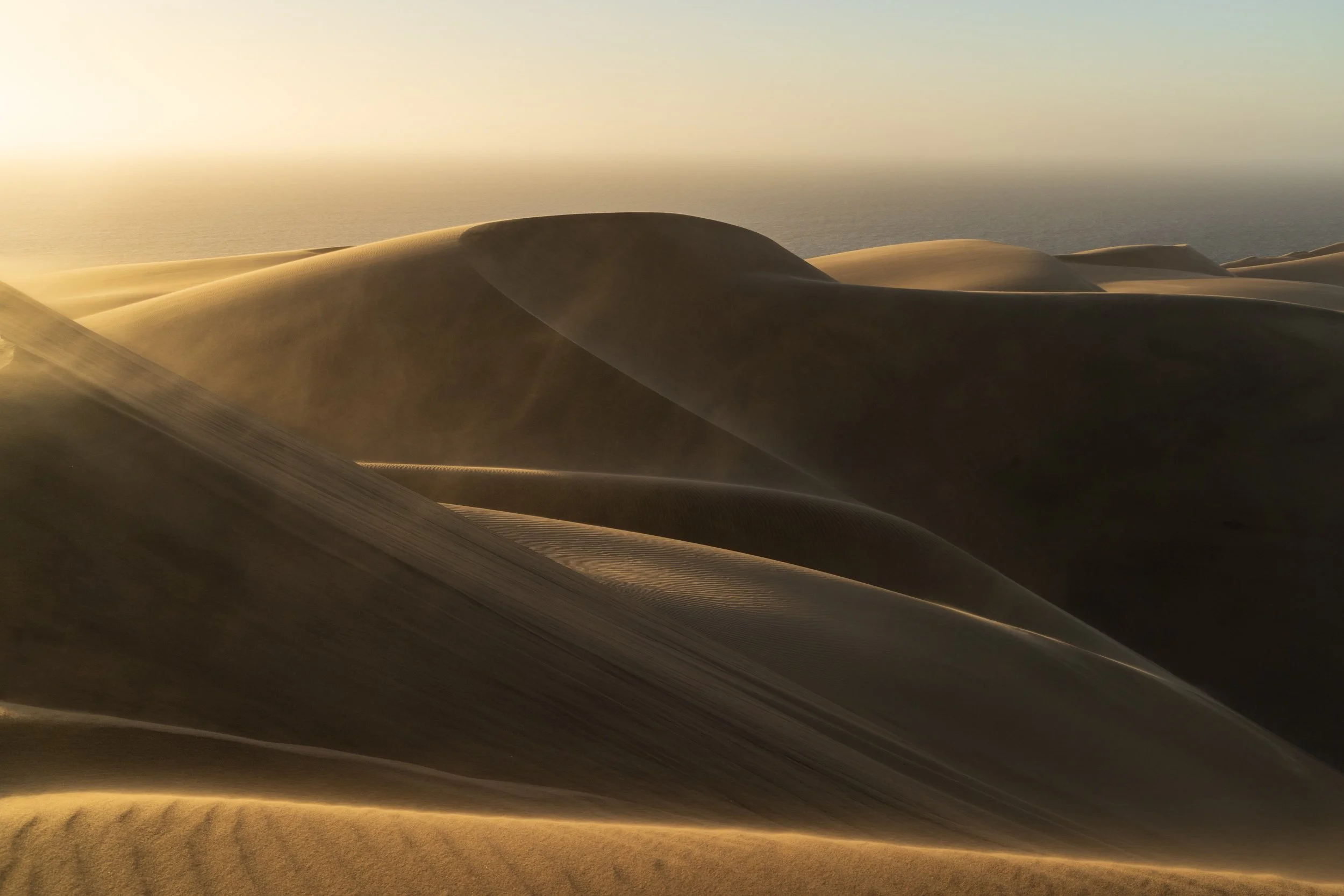 Where the desert meets the sea