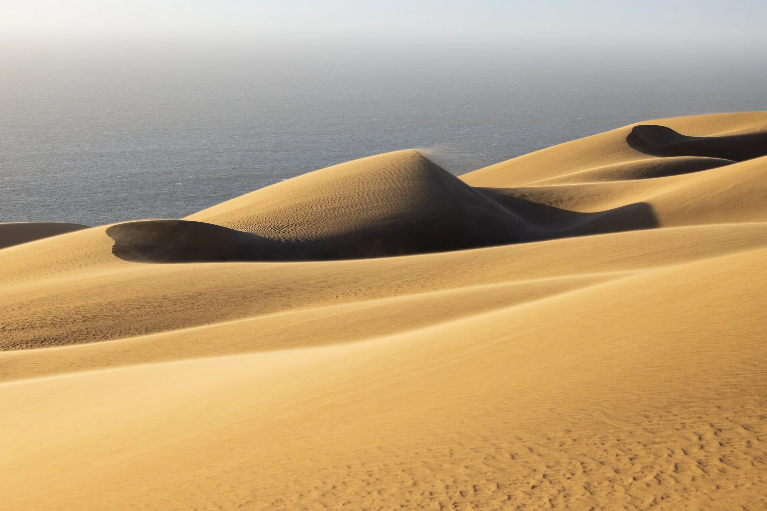 Where the desert meets the sea