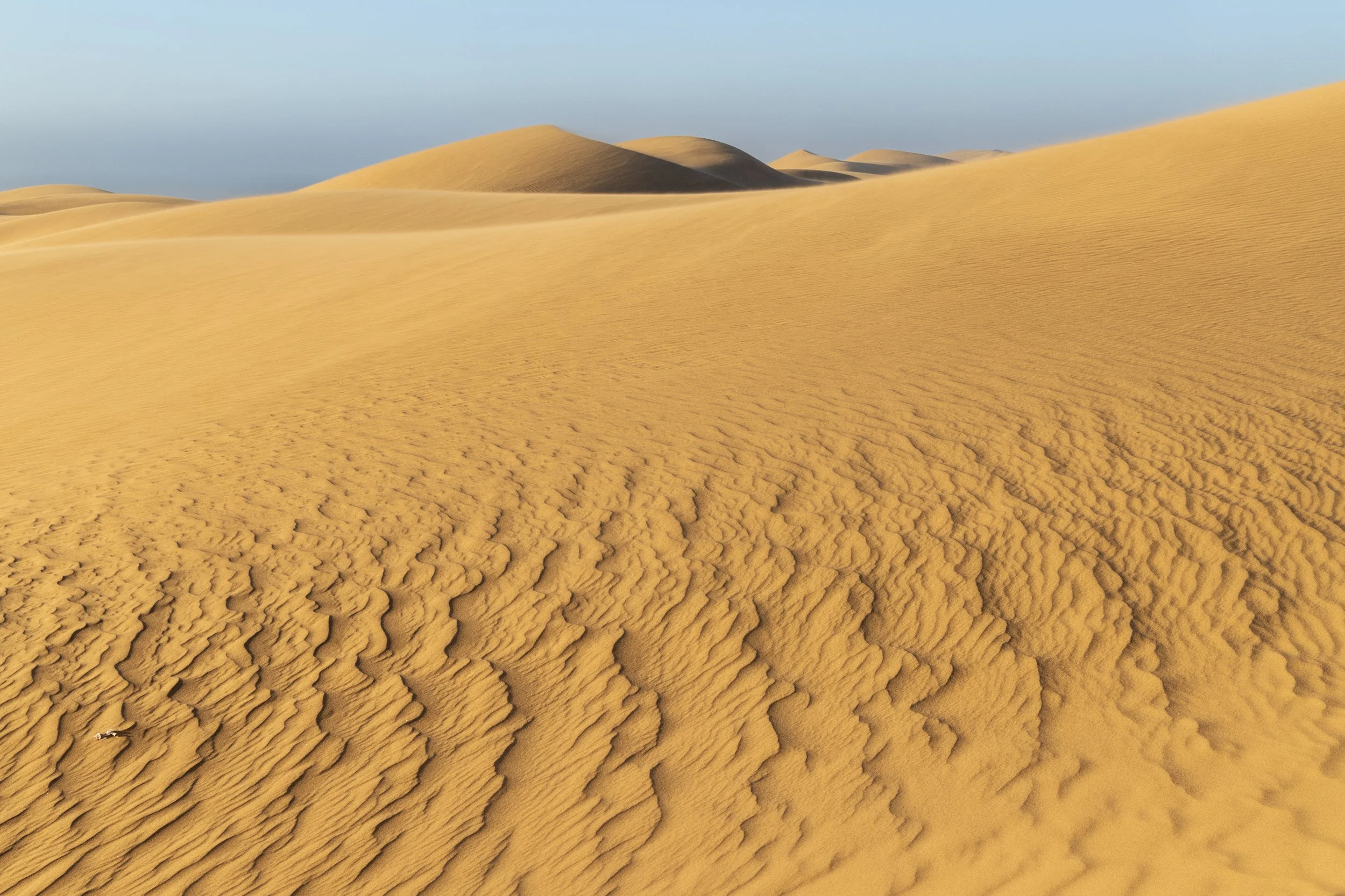NAMIBIA-103.jpg