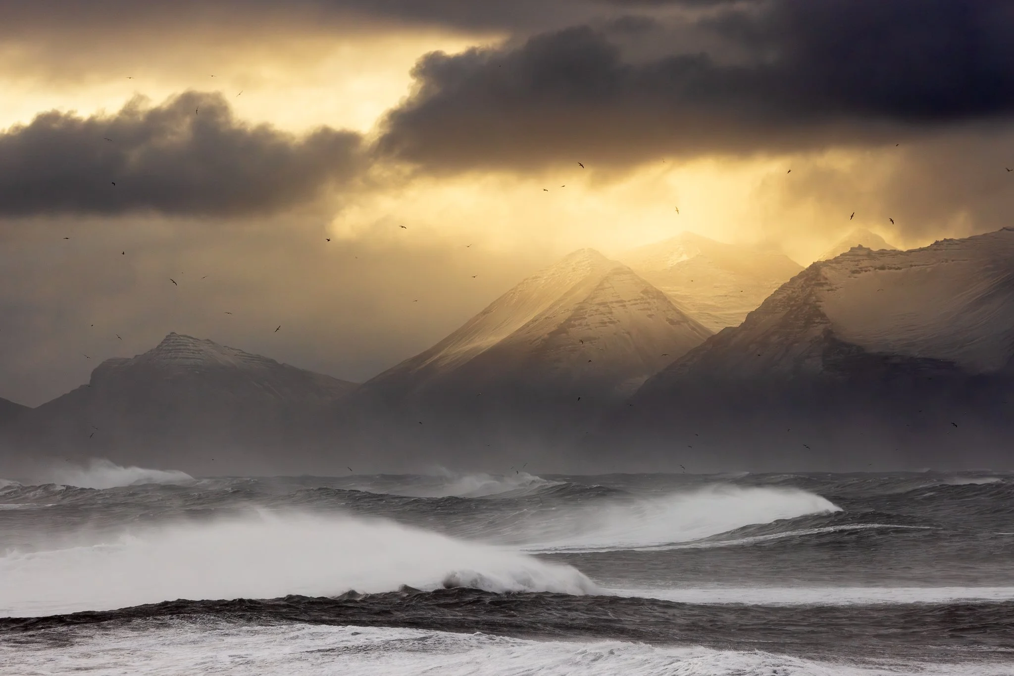 I'm so excited to be going back to Iceland again next January to run my 22nd workshop there... details of the 6 day trip are on my website, who wants to join me?