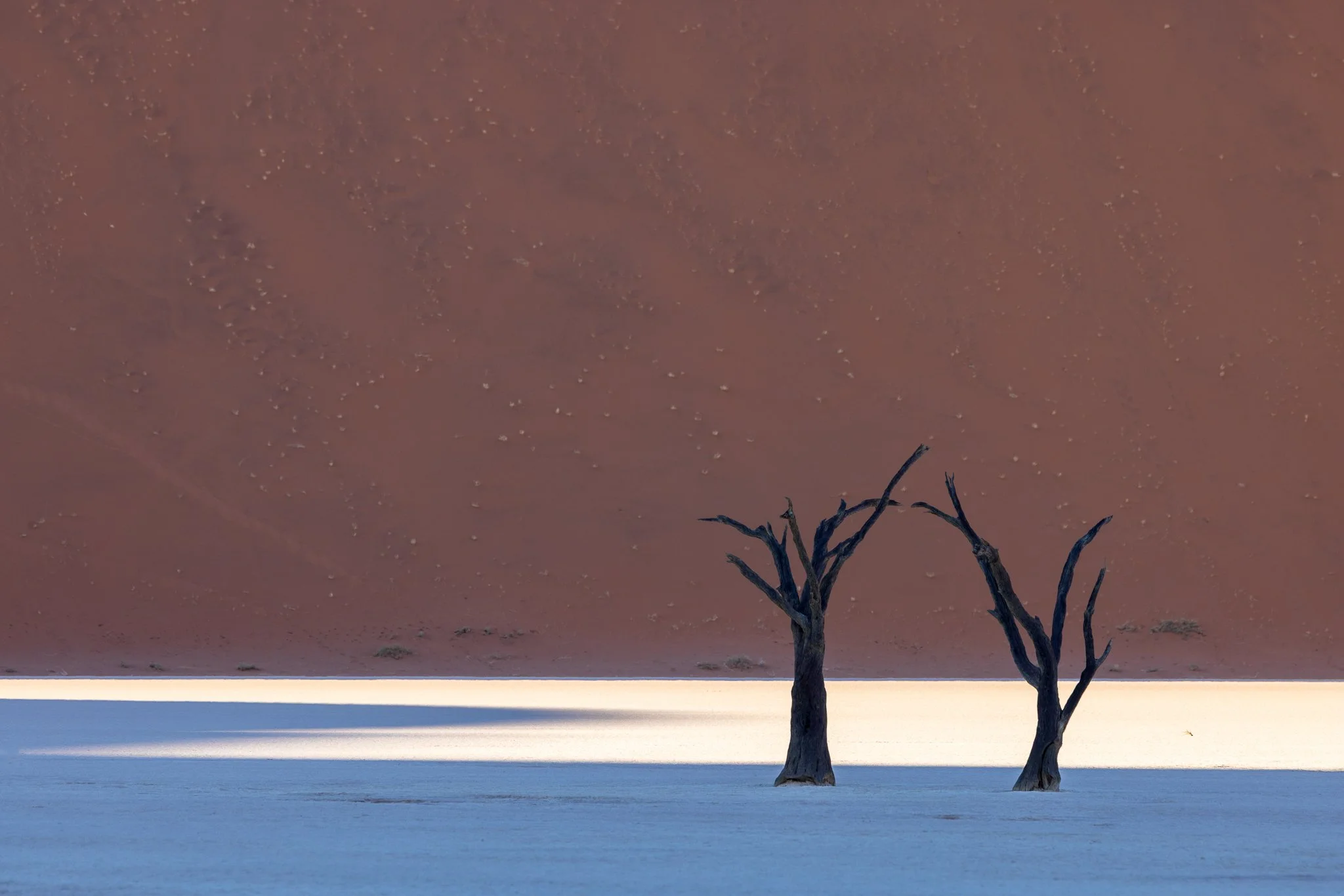 I can't wait to sort through all the photos from my Namibia tour but first I have a week of workshops ahead of me... here is a little group that I couldn't resist quickly editing from the surreal Dead Vlei where the landscape is constantly transforme
