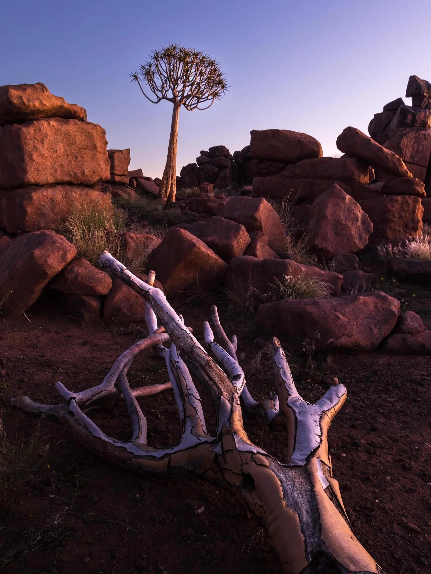 can&rsquo;t believe this is day 4 of our Namibia workshop already and I haven&rsquo;t posted a single update! 

In my defense, internet is patchy but here is an image from the Quiver Tree forest, quickly processed on the laptop. We&rsquo;ve spent a c