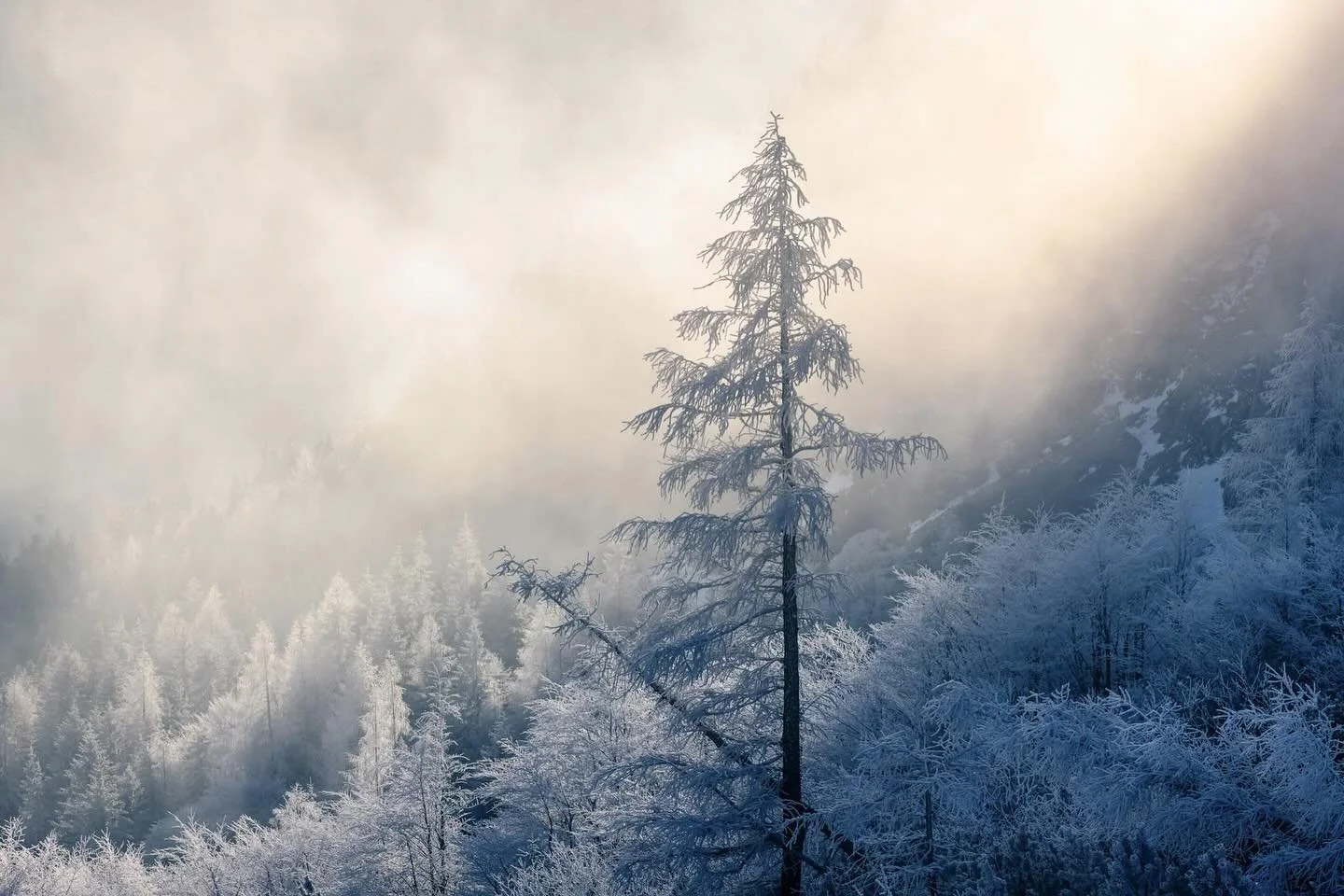 I&rsquo;ve just added dates for my 2027 Slovenia winter workshop to my website.

Here&rsquo;s a shot from the last workshop, not one of the classic locations but Slovenia is a beautiful country with so many stunning views... I partner with a local ph