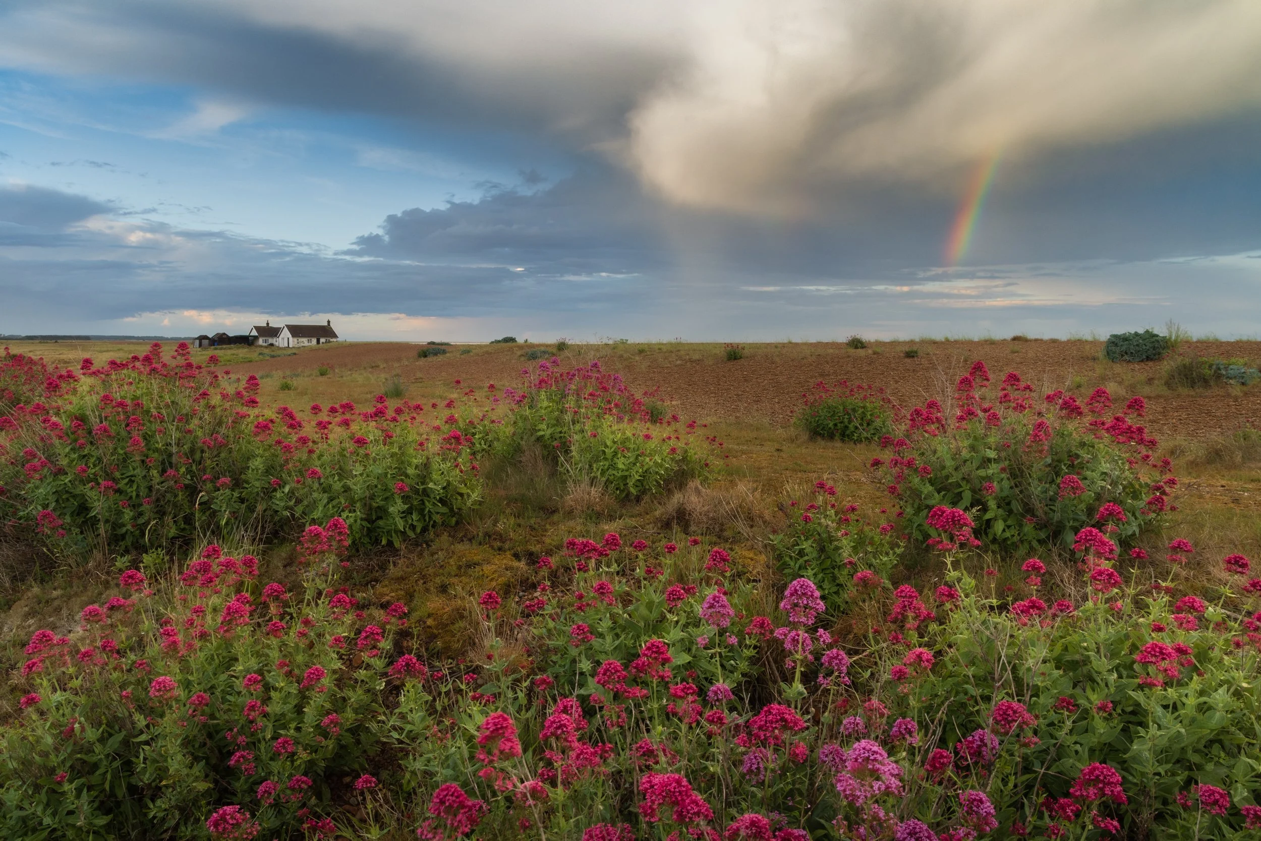 suffolk-1.jpg