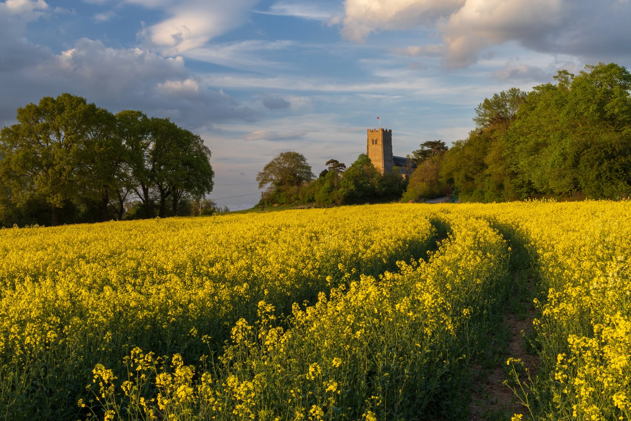suffolk-8.jpg