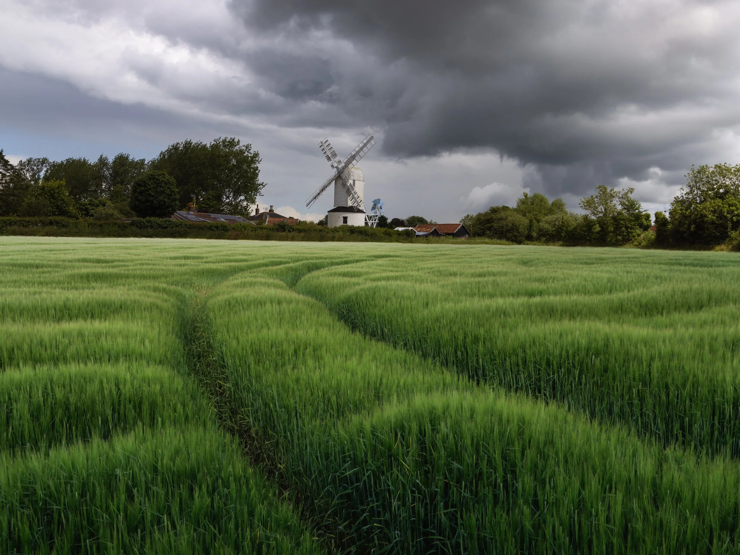 suffolk-10.jpg