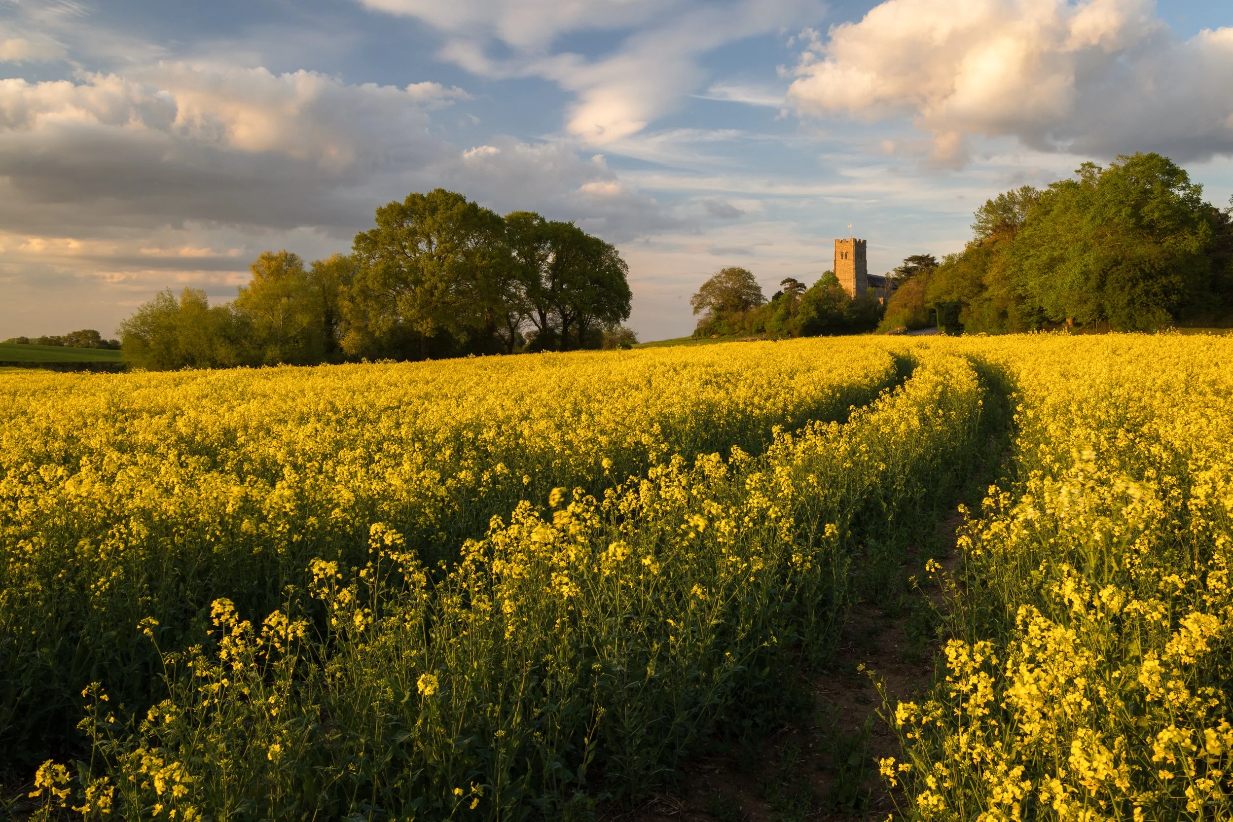 suffolk-1-4.jpg