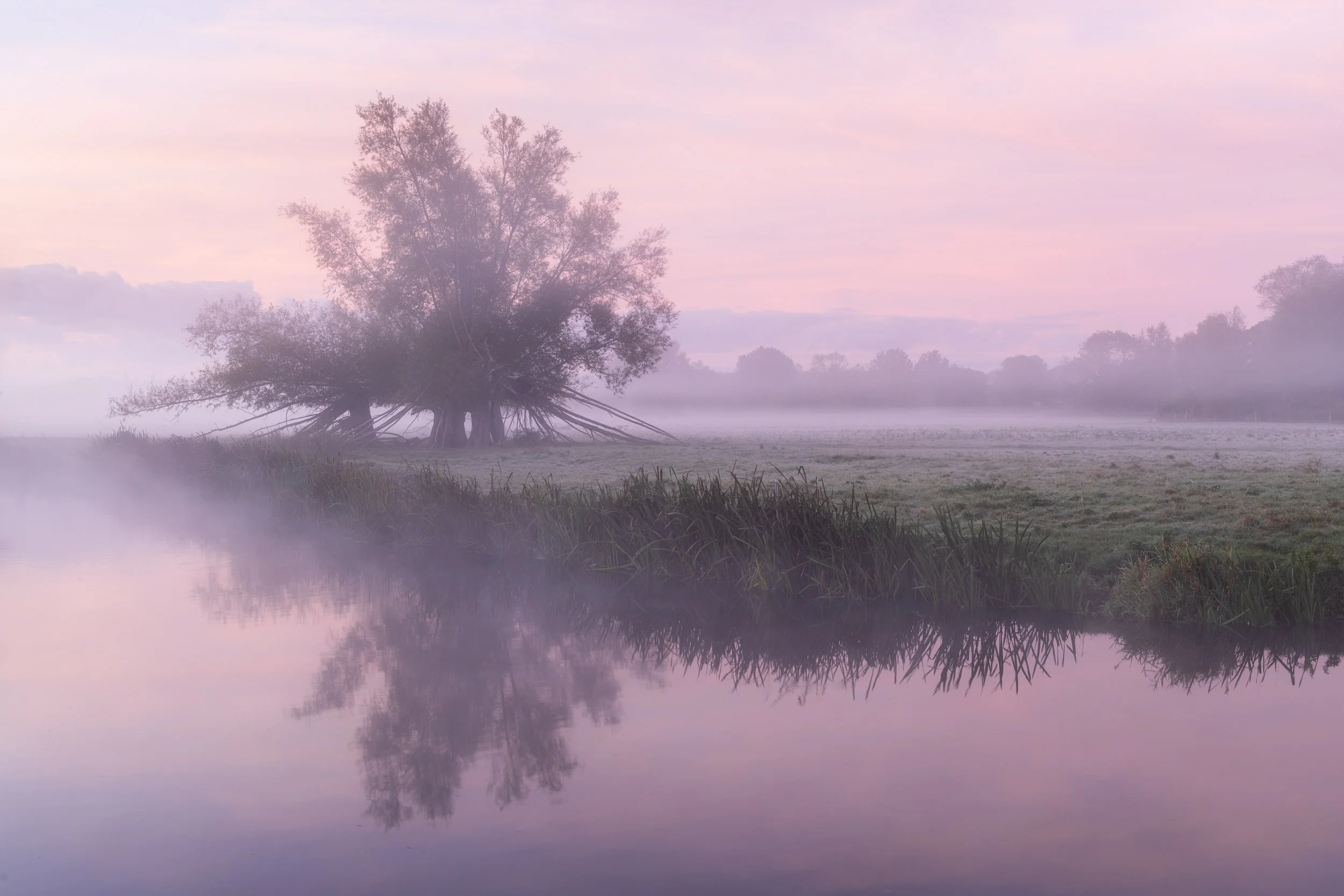 suffolk-5-2.jpg