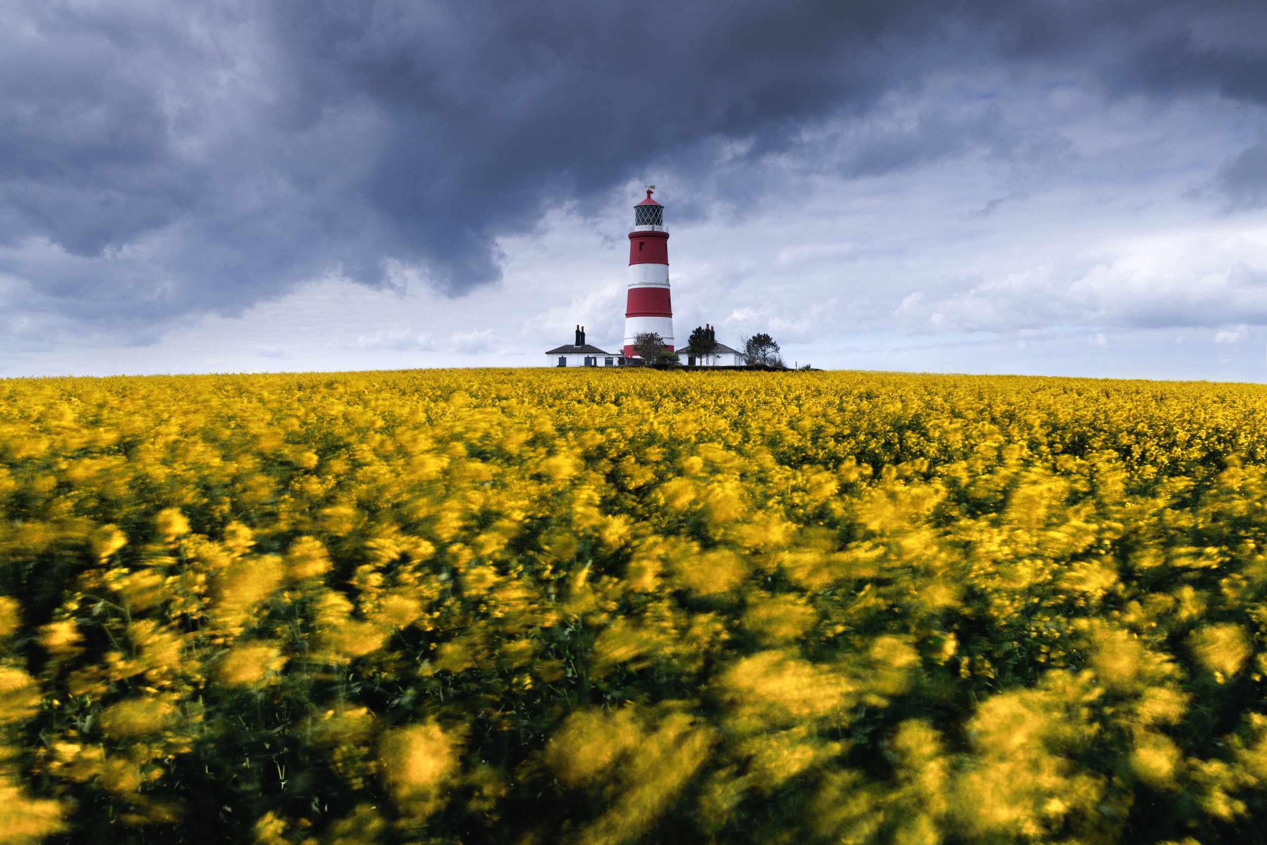 norfolk-2.jpg