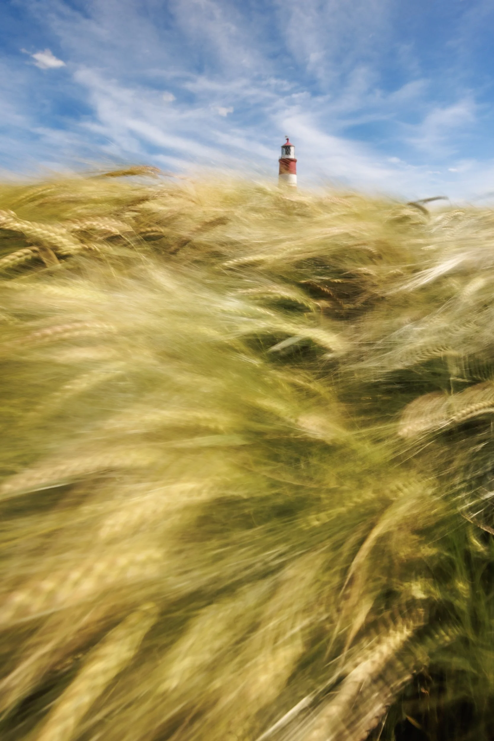 norfolk-6.jpg