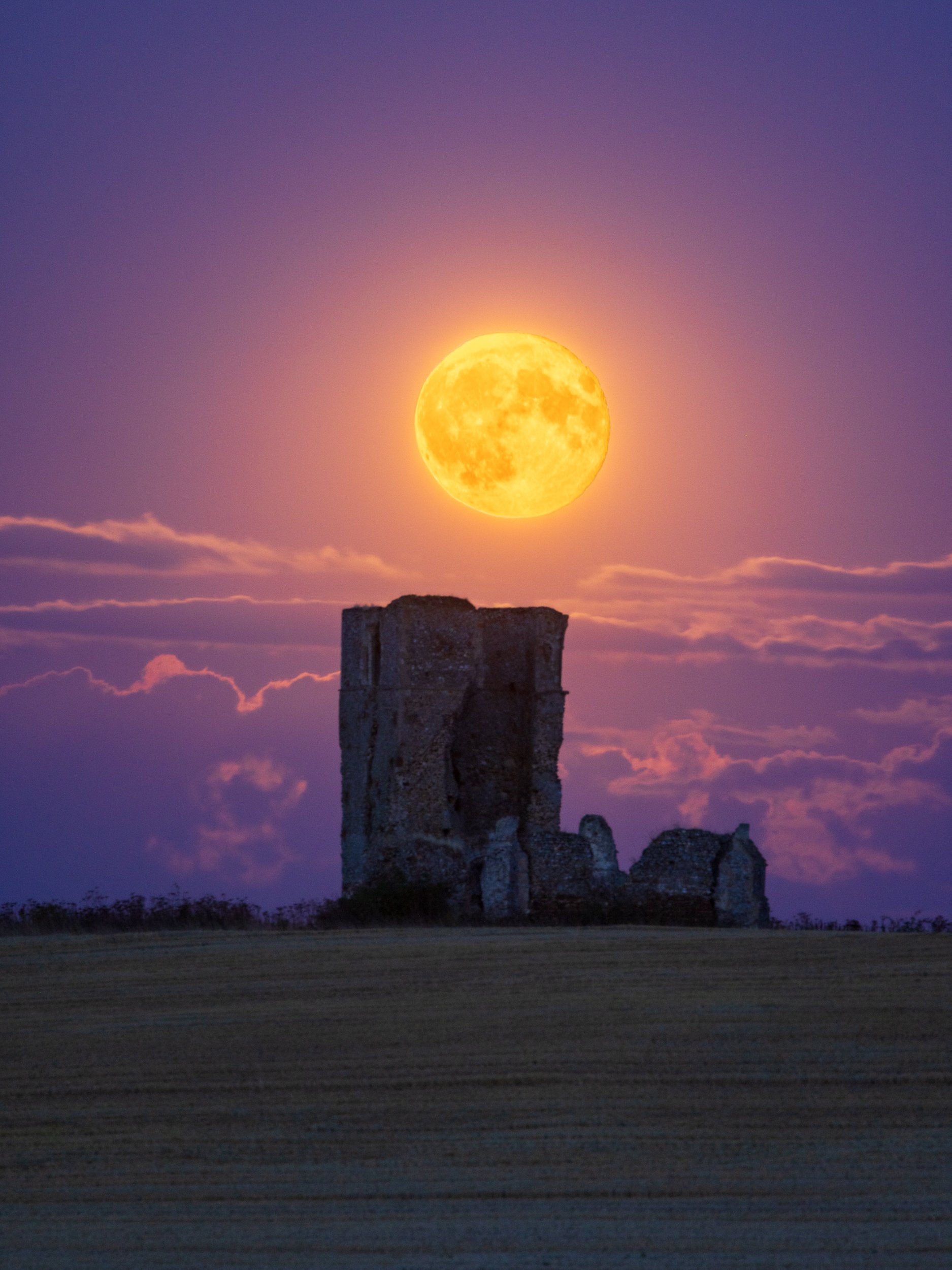 norfolk-8.jpg
