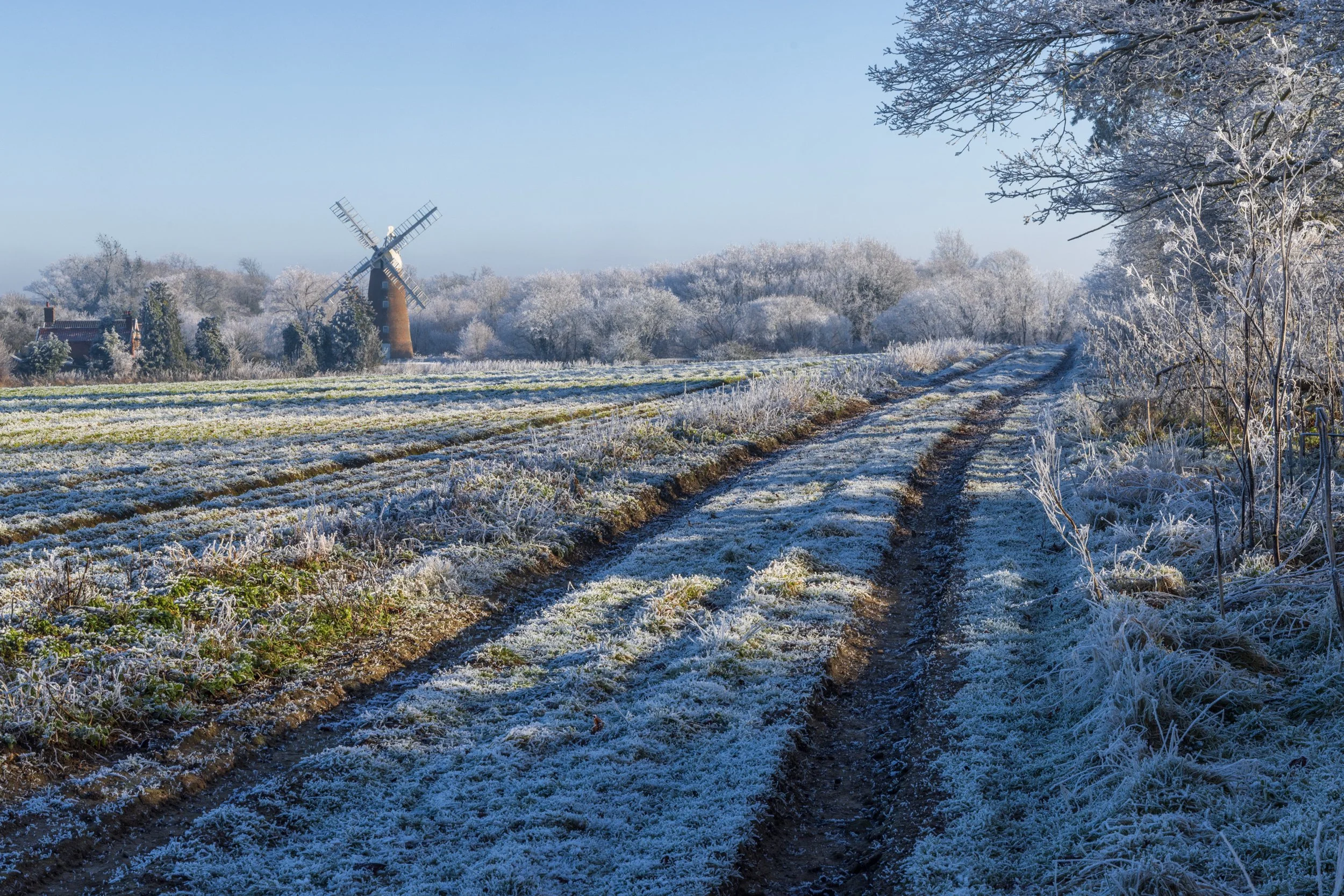 norfolk-7.jpg