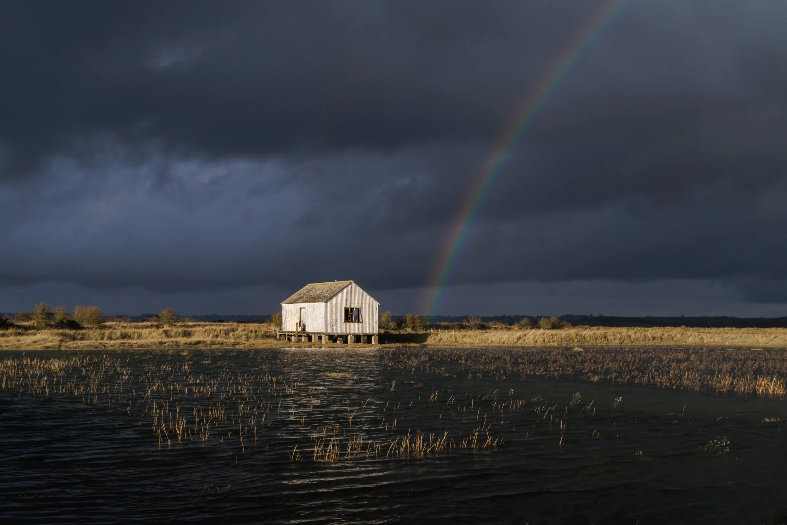 essex-6.jpg