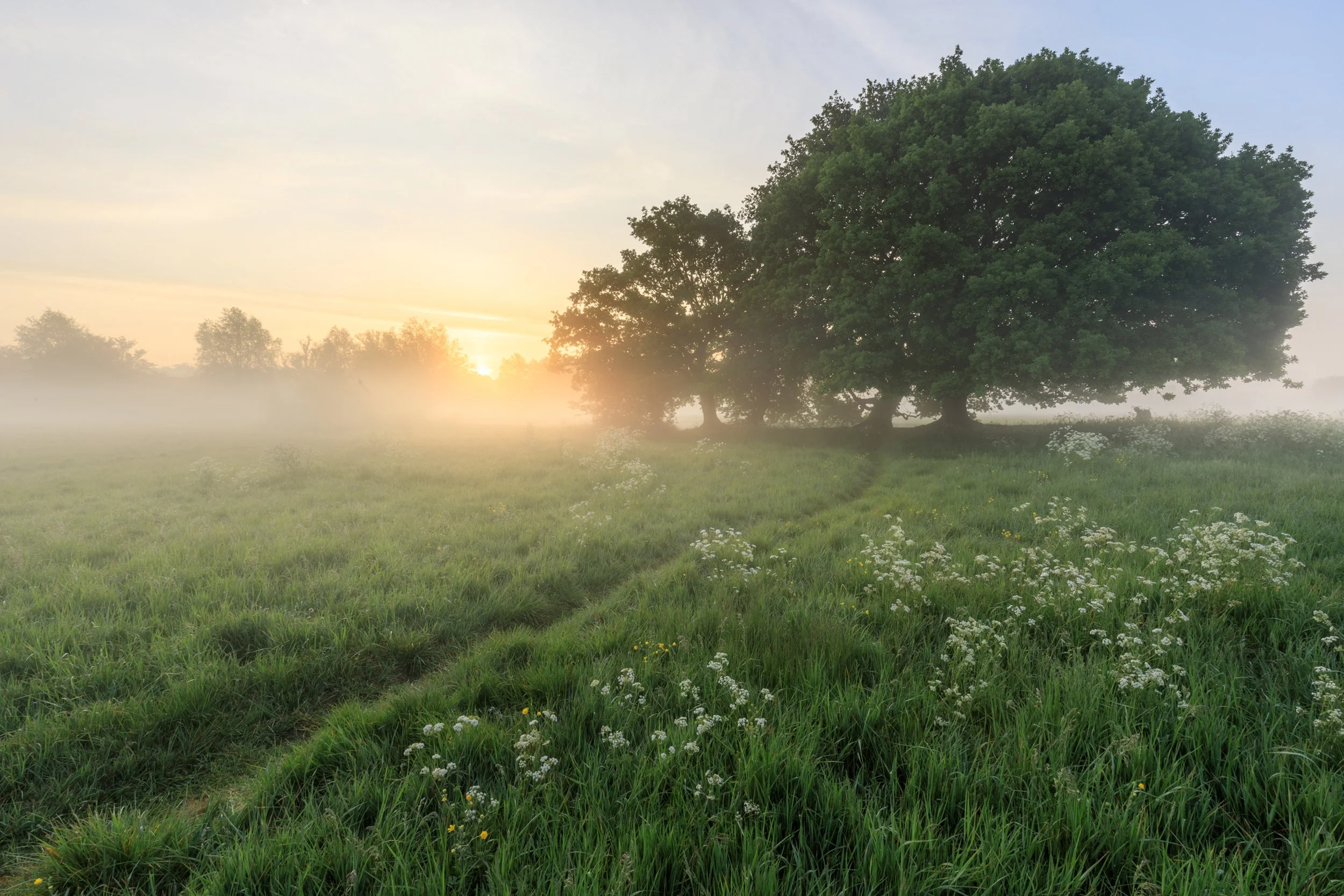 Essex-10.jpg