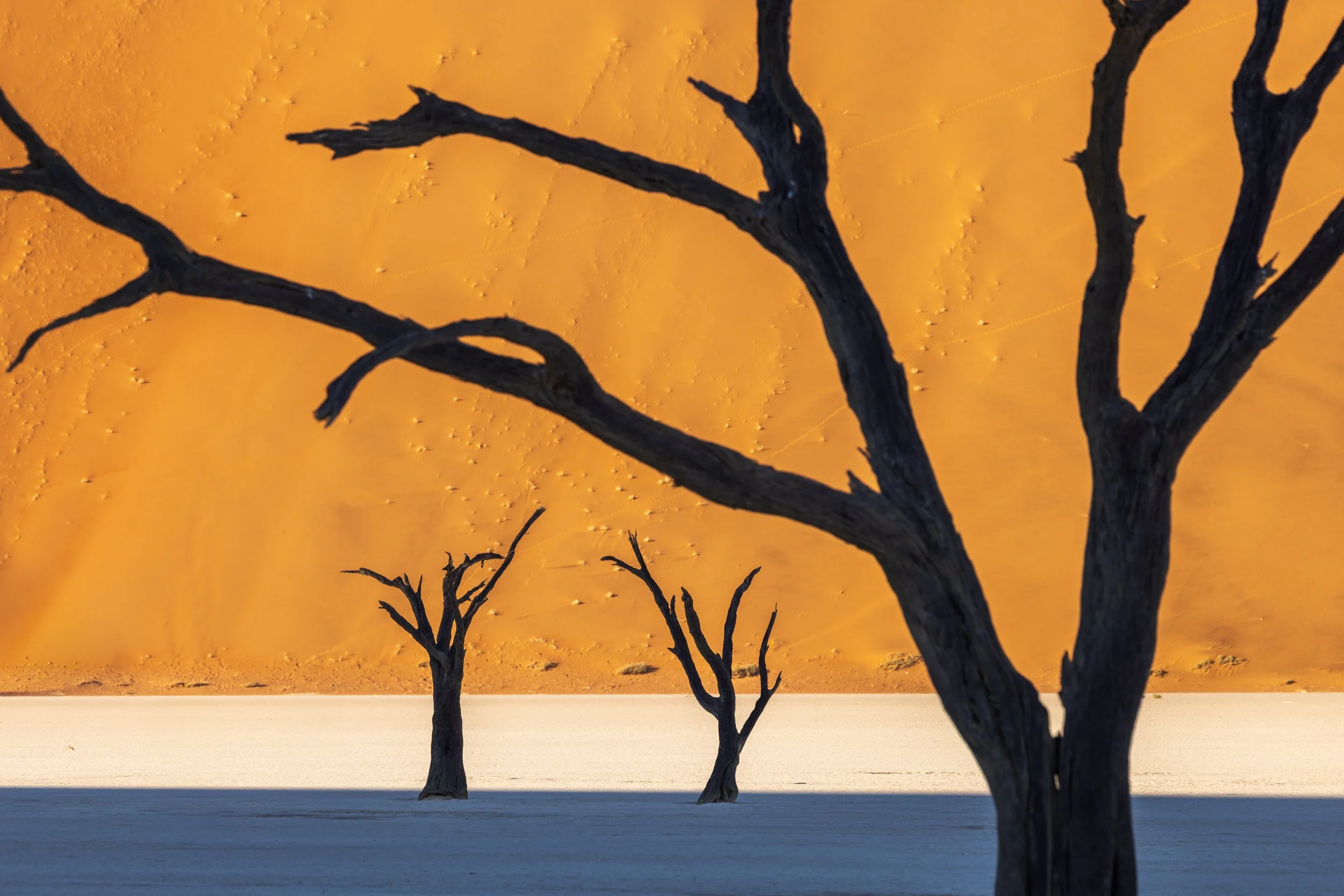 NAMIBIA-2.jpg