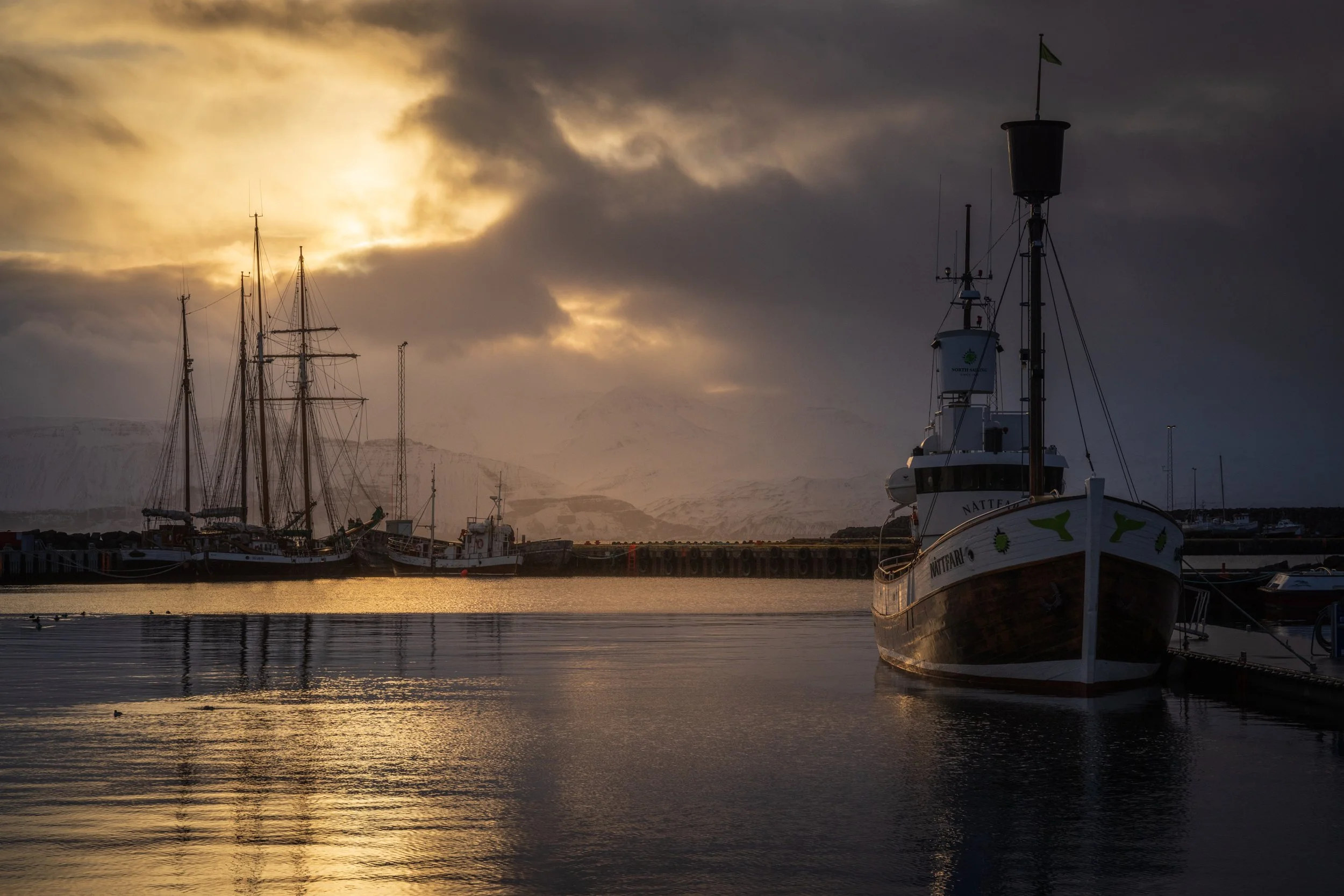 _5JM3757-Edit.jpg