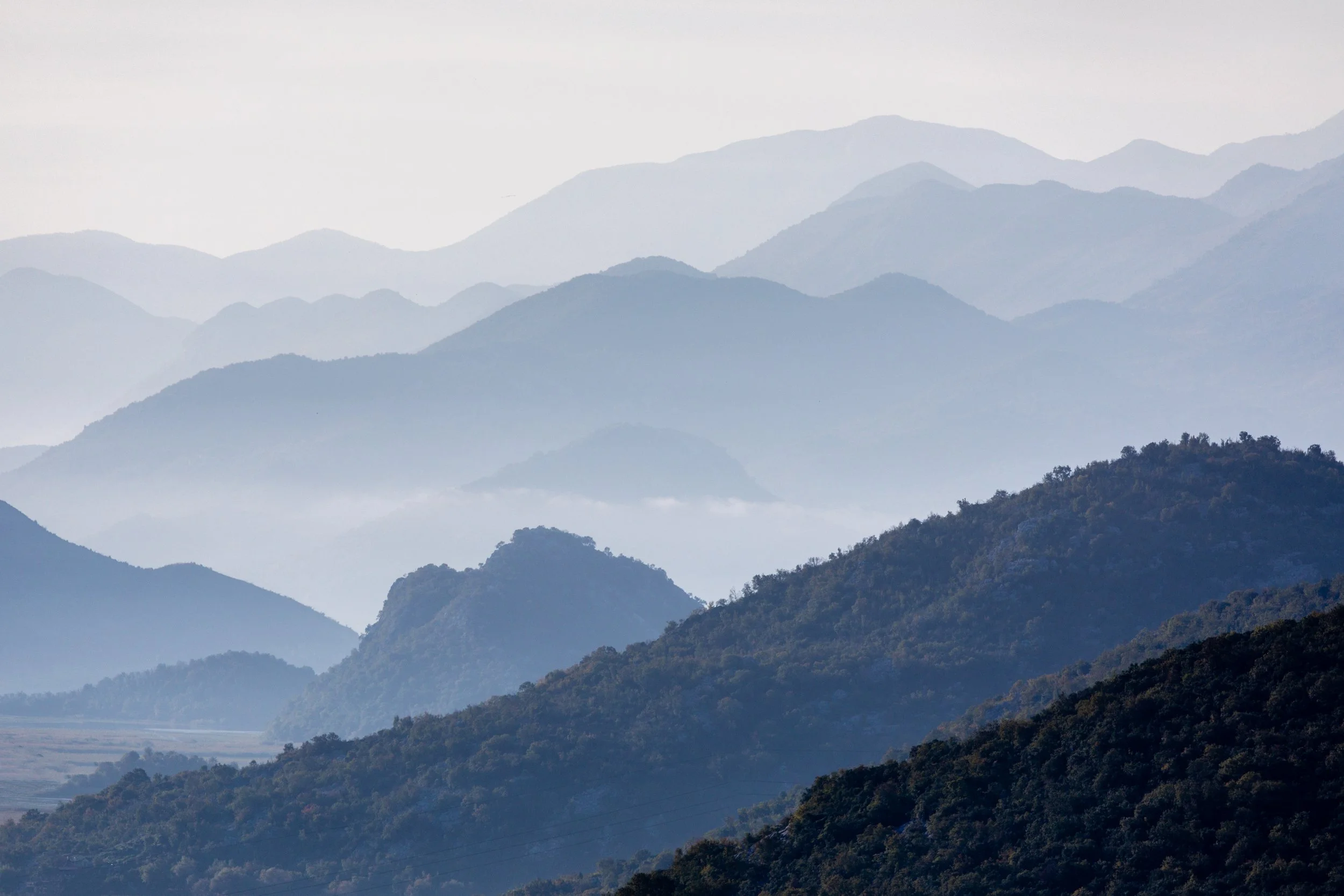 8S6A1471-Edit.jpg