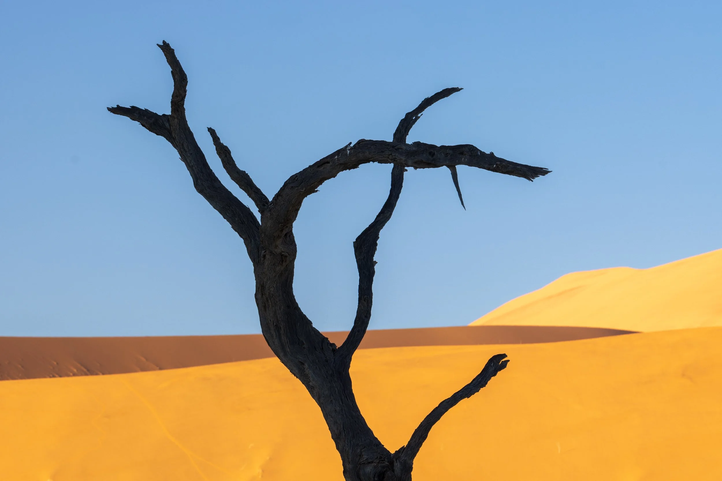 NAMIBIA-8.jpg