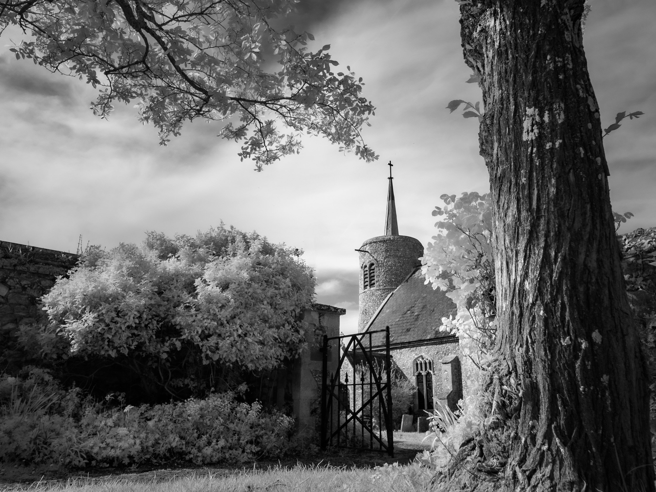 DSCF6172-Edit-1.jpg