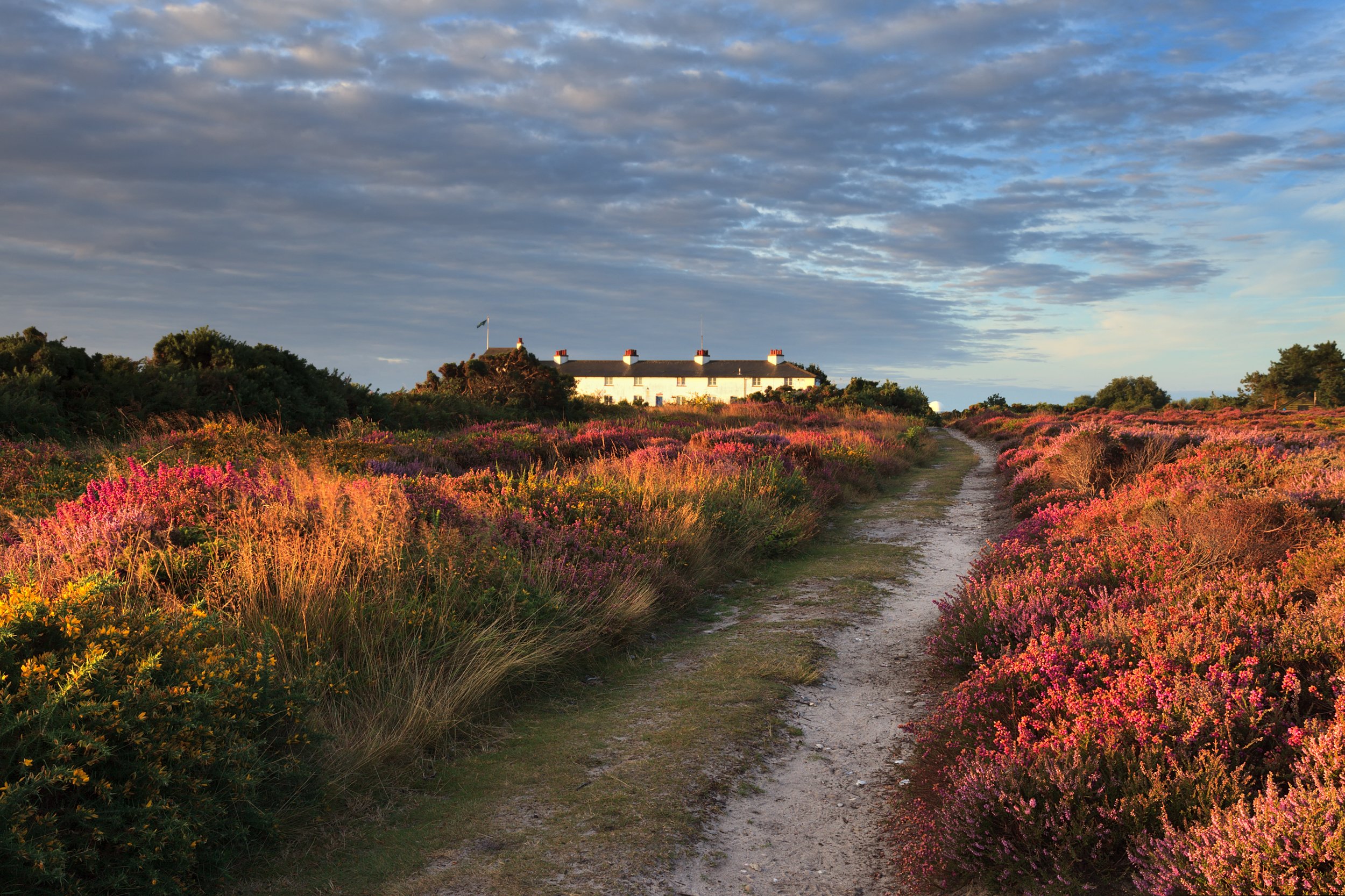 Dunwich-7.jpg