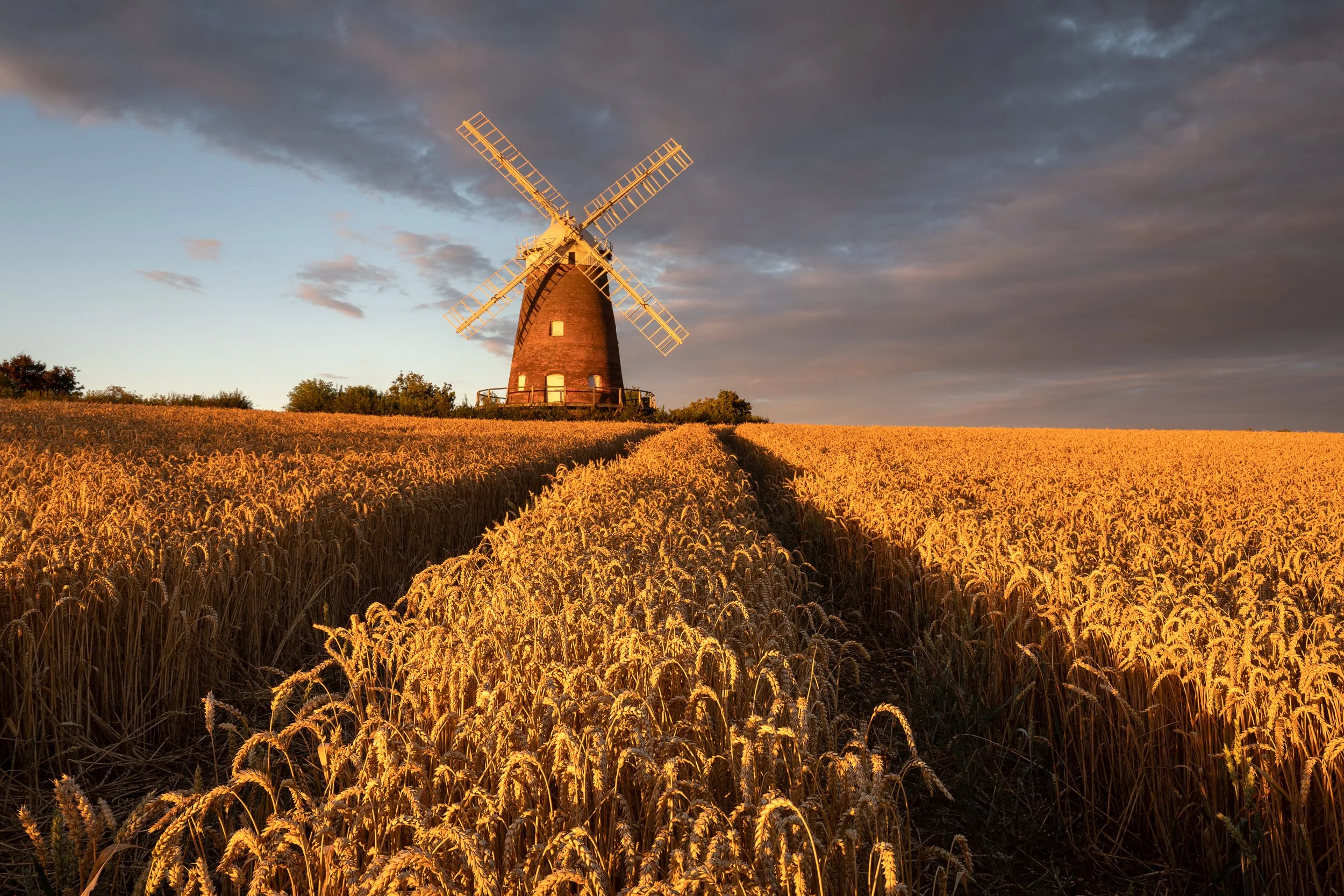 Chestnt group-65.jpg