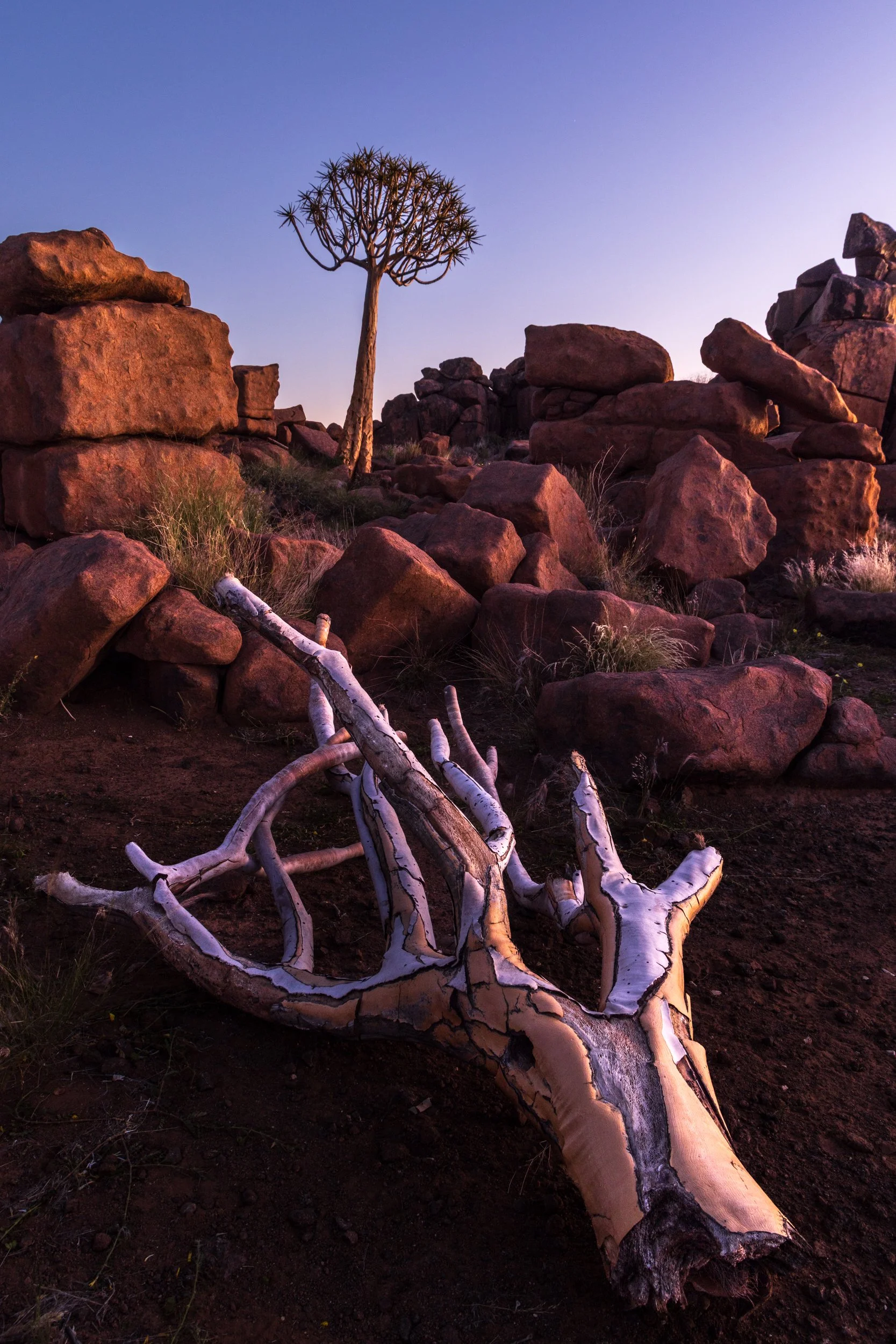 NAMIBIA-7.jpg