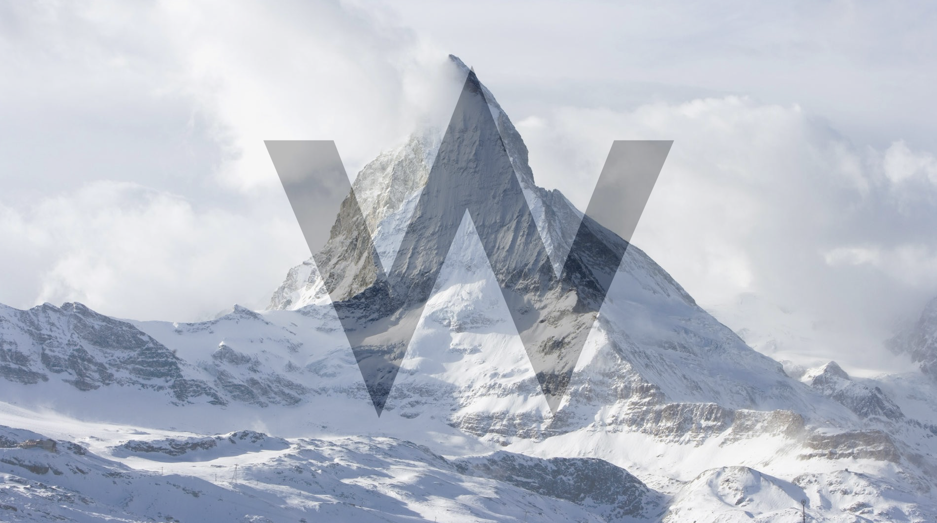 SNOWCATArtboard 1 copy@1x.png