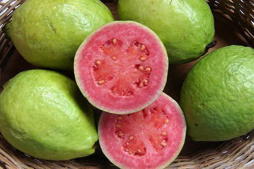 Guava.jpeg