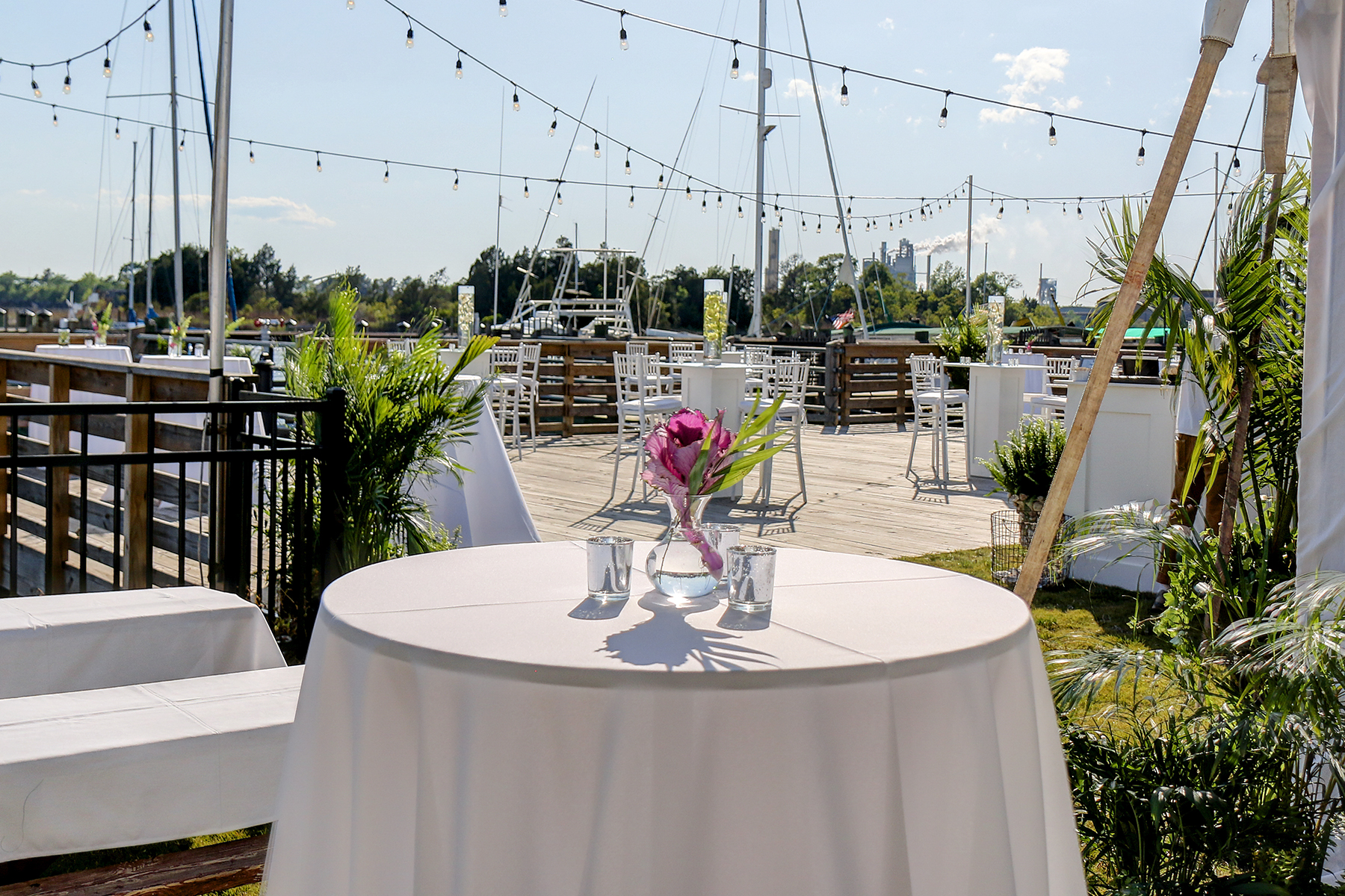Coxe wedding set up 2 MLS.jpg