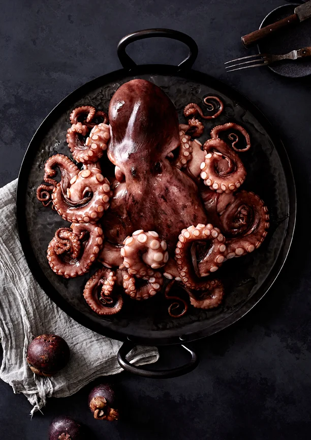 Octopus 1_ForWeb.jpg