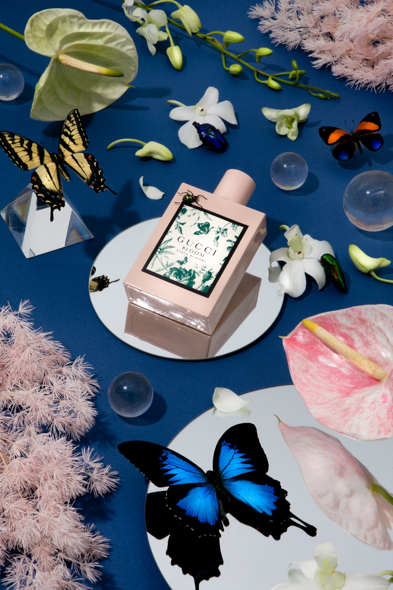 Fragrance Flatlay — Stephanie Bohn Creative
