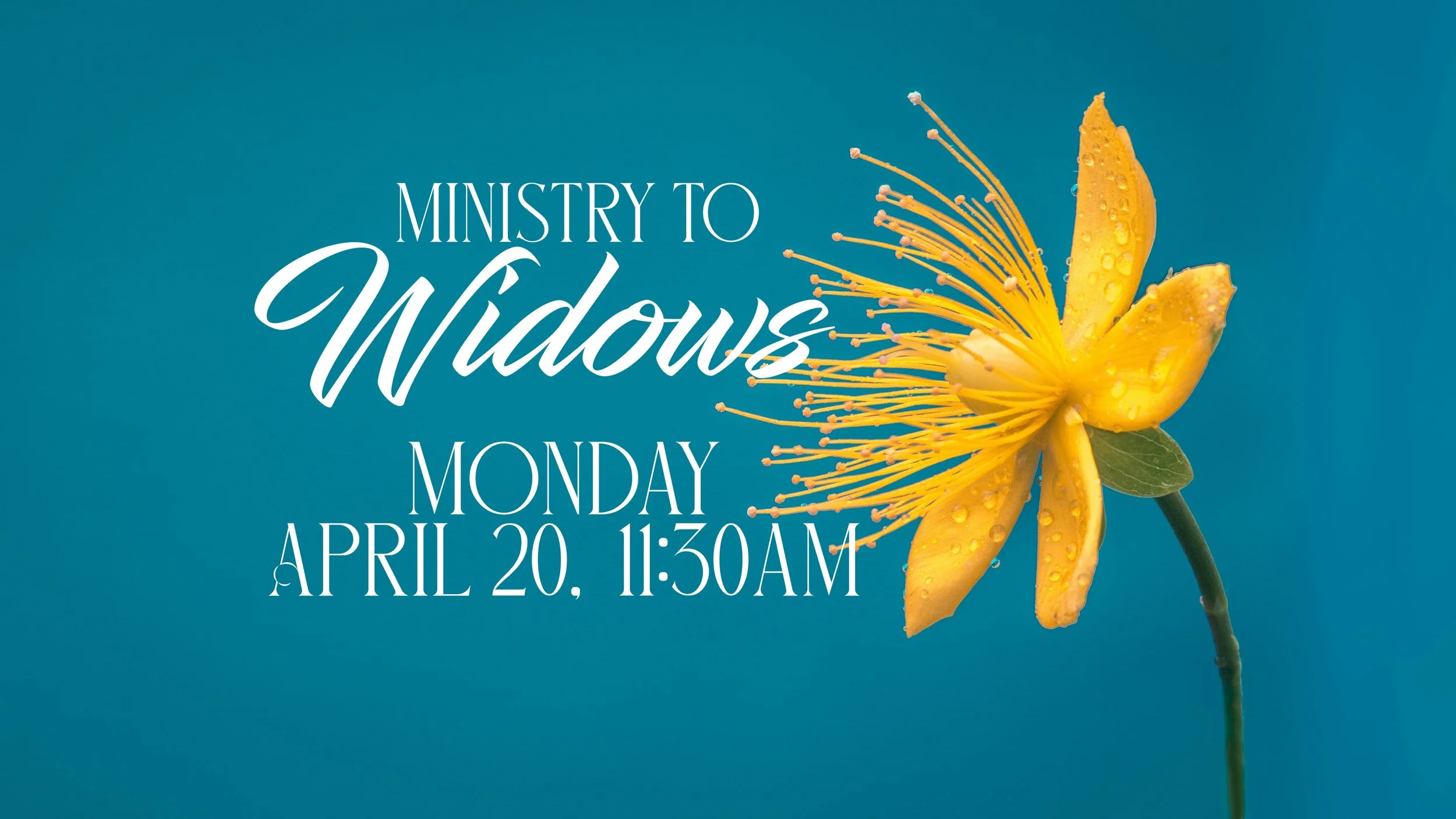 Ministry to Widows