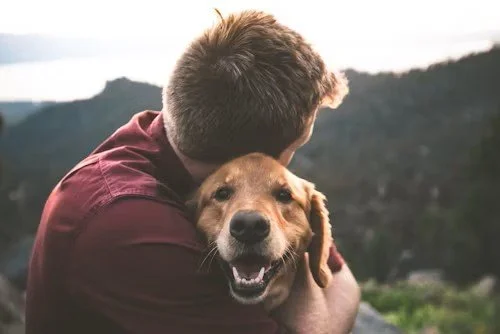 Life with Pets