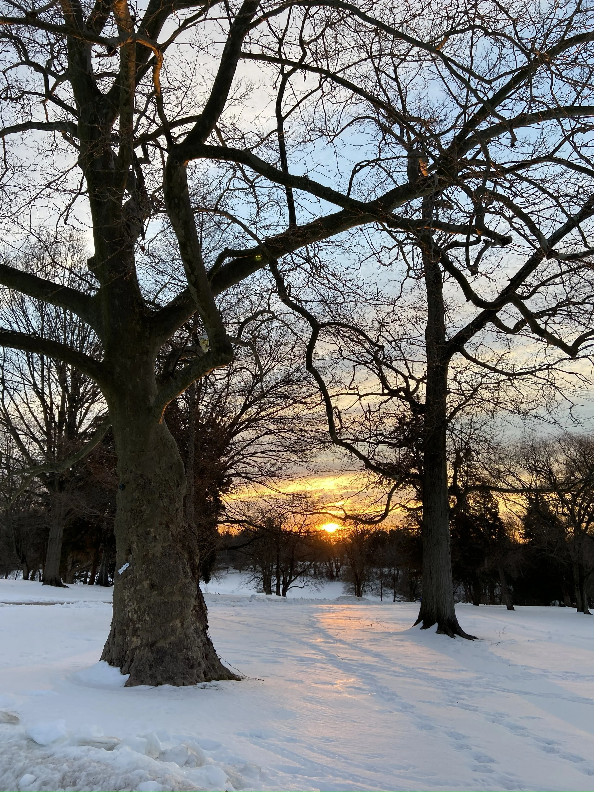 WINTER RESILIENCE SUPPORT GROUP: A Six-Week Series Meeting Twice a Month (beginning January 6th)