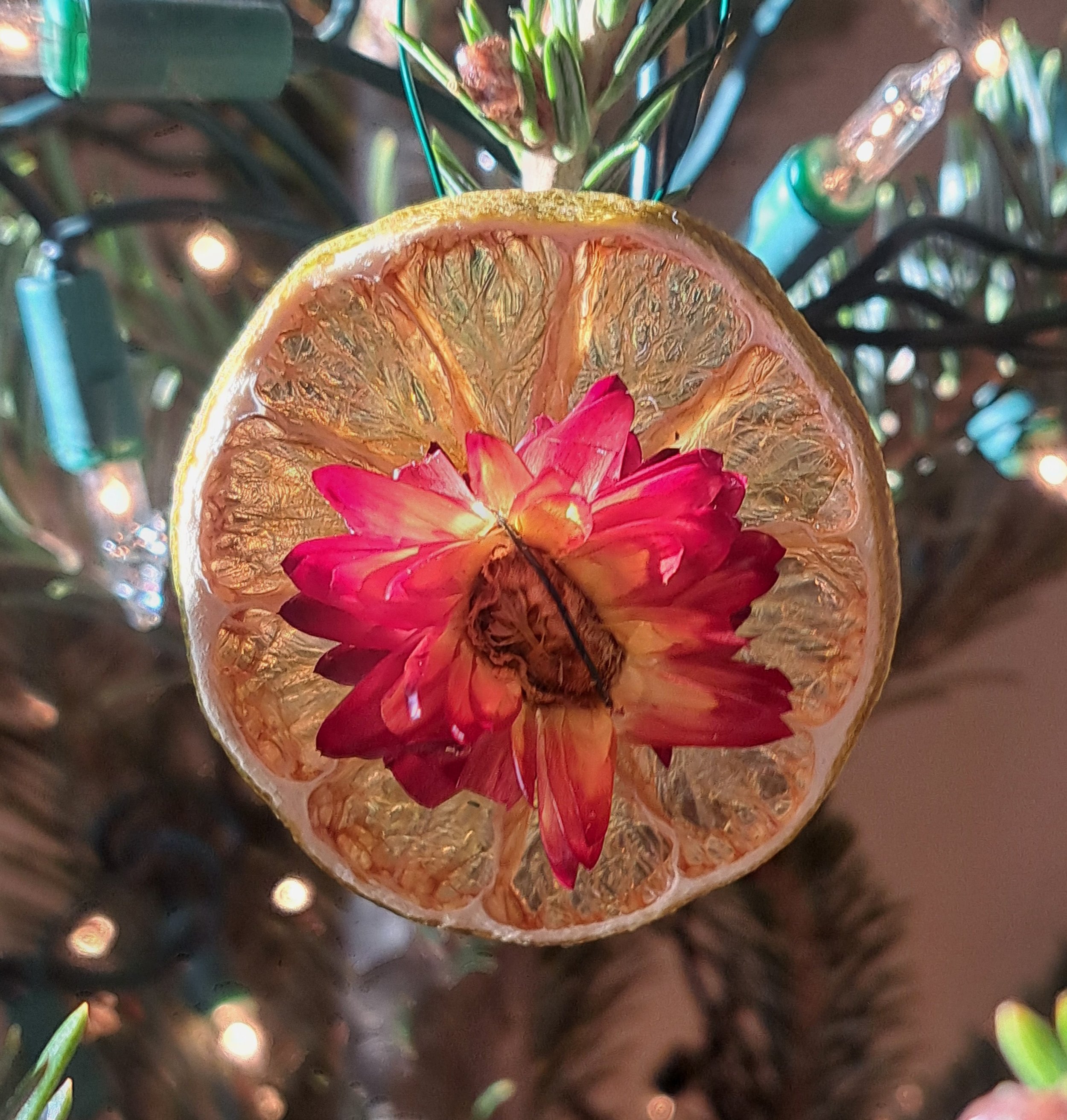 Holiday natural decor -  lime 2.jpg