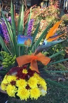 thumbnail_floral turkey.jpg