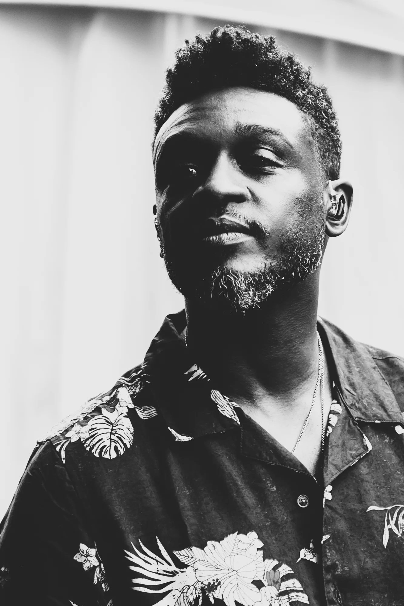 Corneille par Melany Bernier photographe