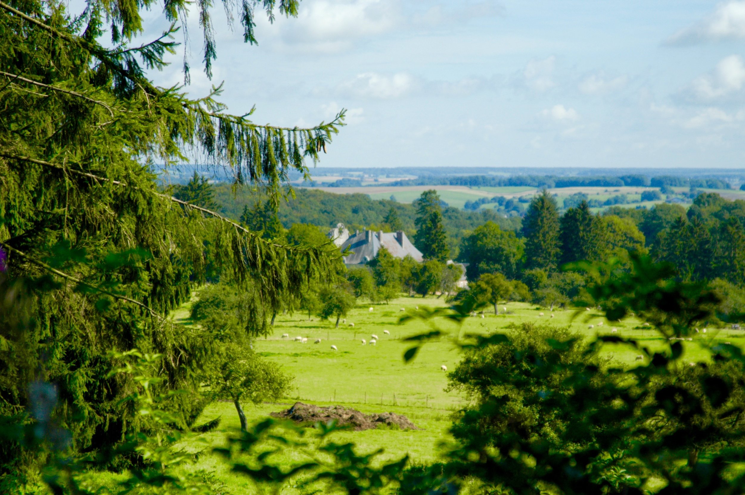 tuin met uitzicht op de abdij.jpg