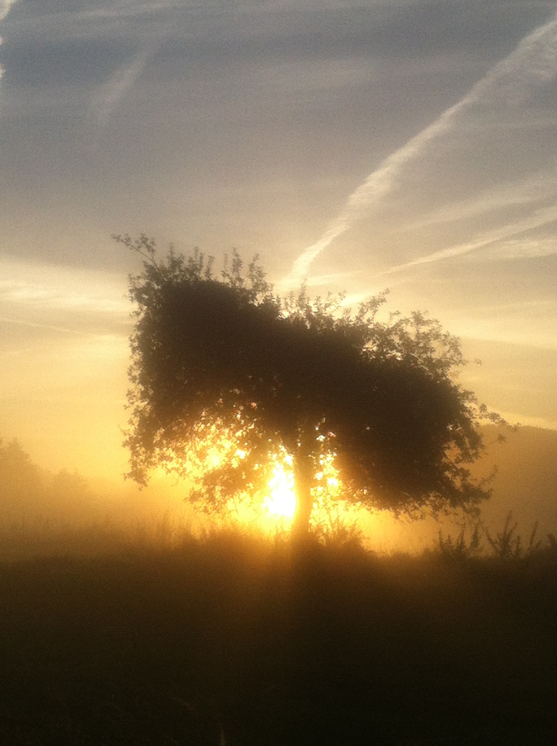 morgenstimmung.JPG