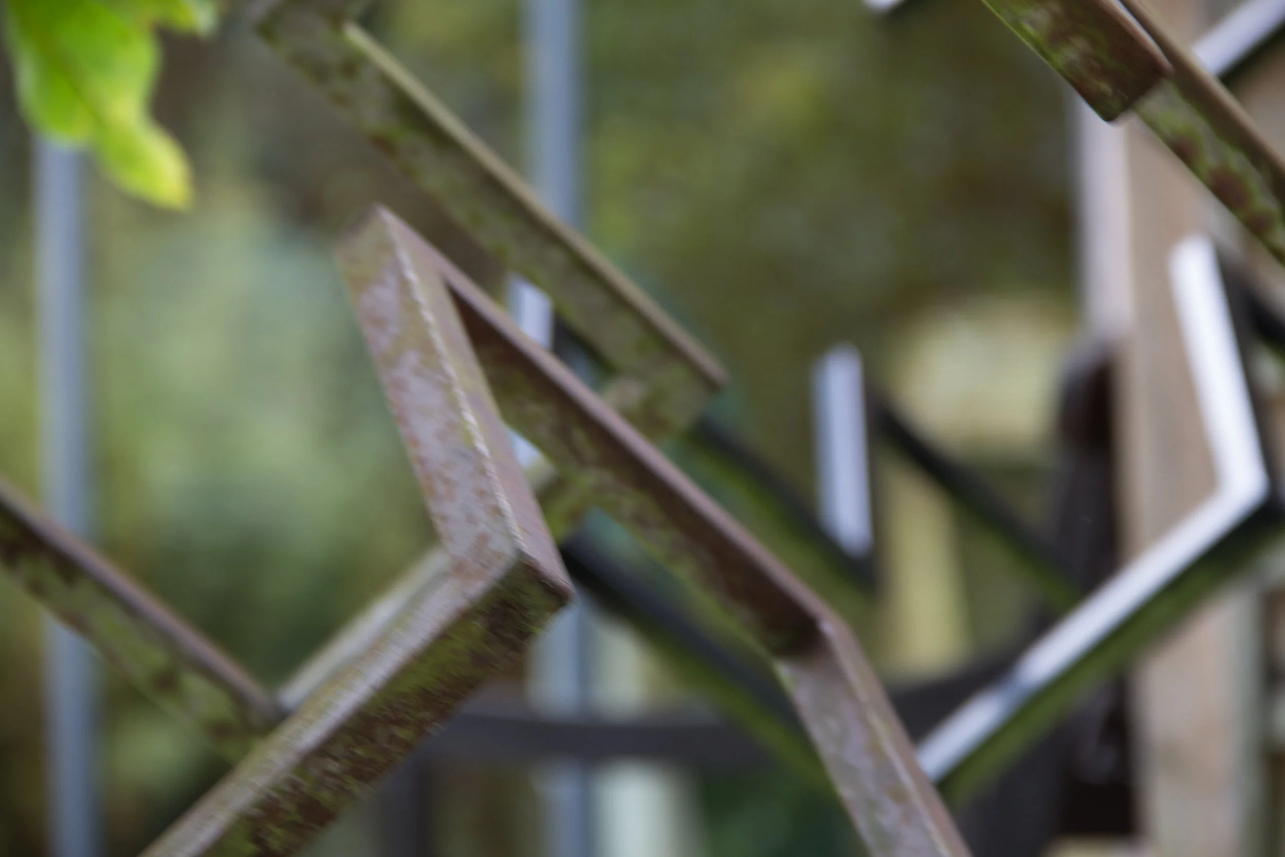 lines don detail.jpg