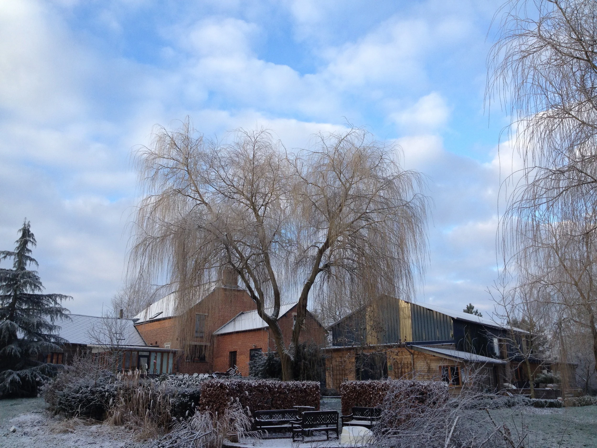 winter overzicht vanuit de tuin.jpg