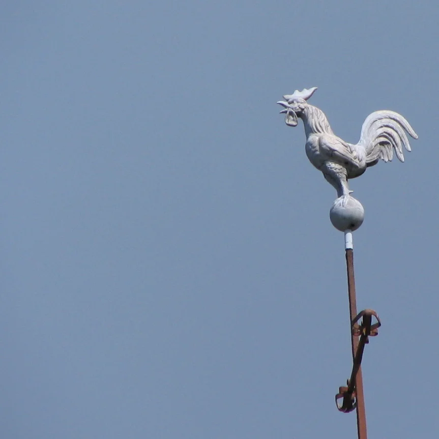 haan van blanchefosse.JPG