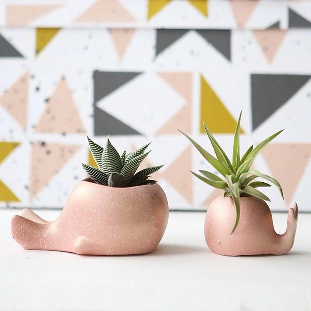 Love these peachy whales by @modernplantlife 🐳 So cute for getting your spring on (even though it’s super cold out 😩)