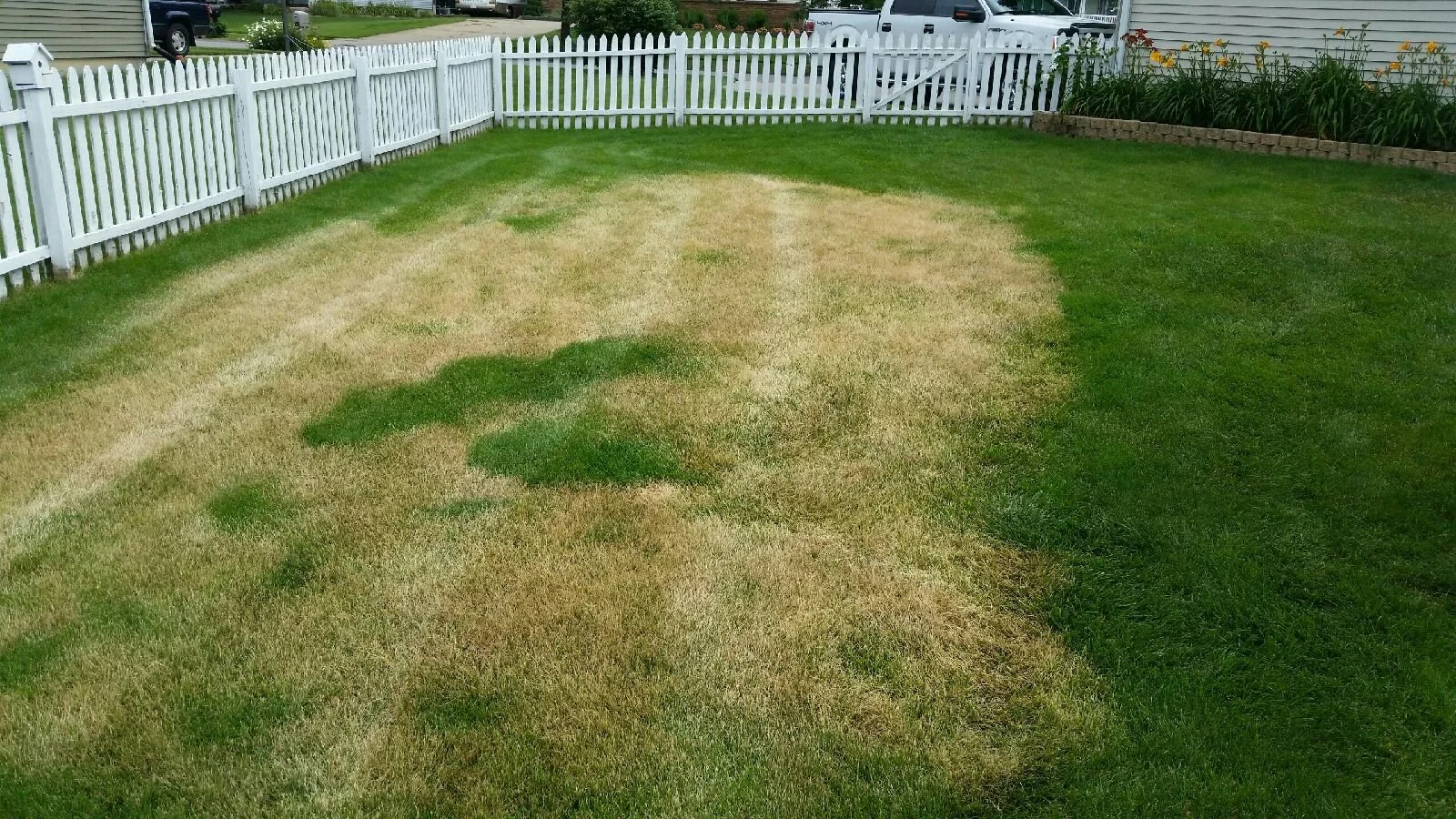 Greener Grass