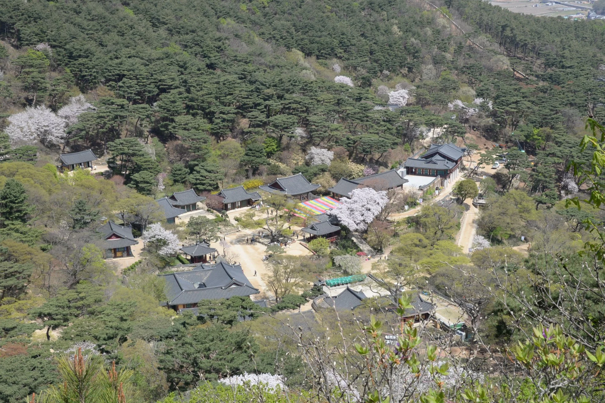 DSC_5584.JPG