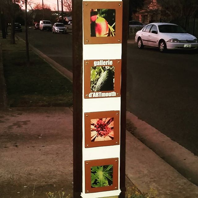 Matt's little Art Gallery Project on a Stobie Pole near his home.