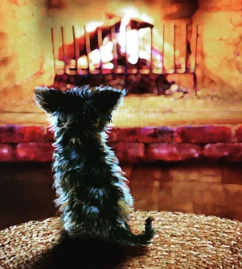 Vanessa Locke: Writing children's book with love