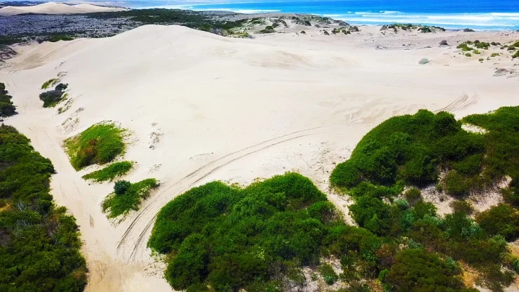 Sleaford Bay Dunes