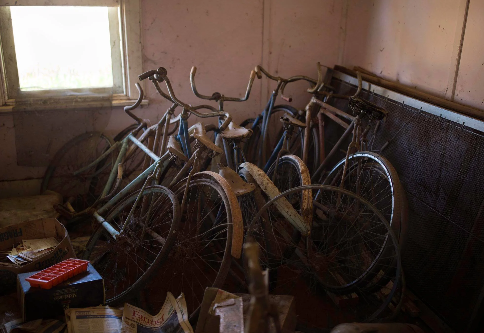bikes.jpg