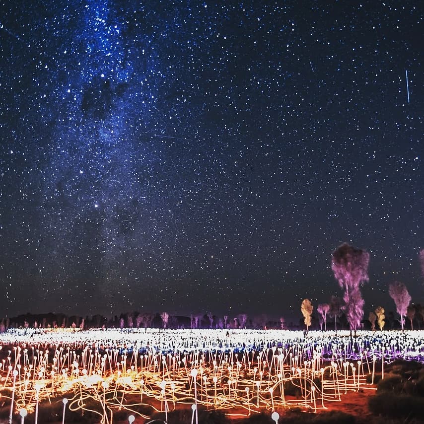 The Field of Light display at Uluru.